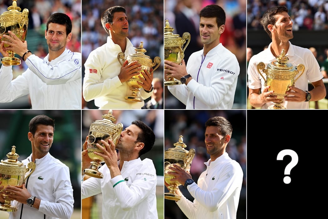 Novak Djokovic's Wimbledon titles