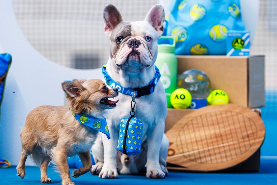 A new pet range is now available in the Australian Open official online shop