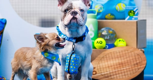 Game, Set, Fetch! AO 2025 aces new pet range